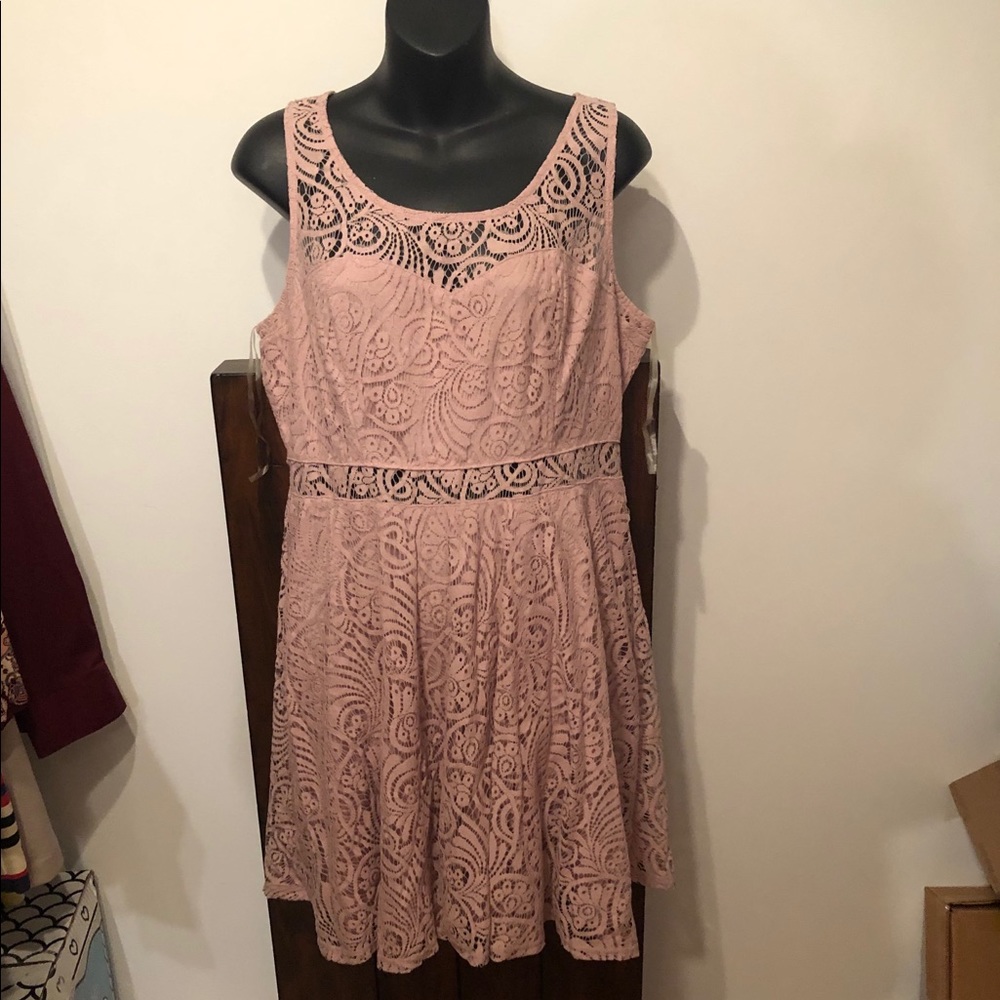 American Rag lace dress